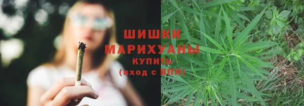 молекула духа Богородск