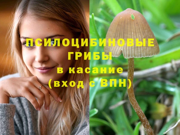 молекула духа Богородск