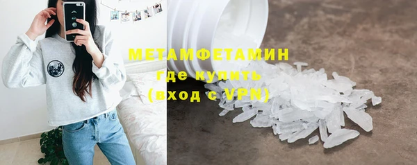 прущие грибы Беломорск
