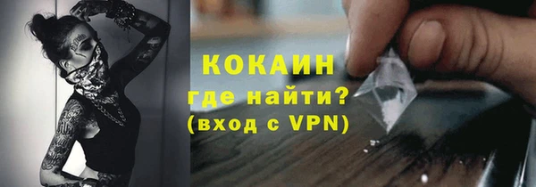 молекула духа Богородск