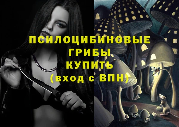 героин Богородицк