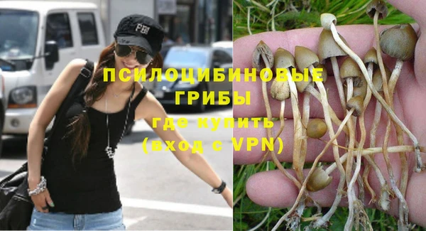 таблы Богданович