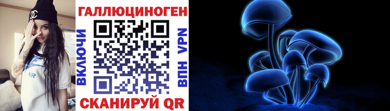 Галлюциногенные грибы Psilocybine cubensis  даркнет сайт  Высоцк 